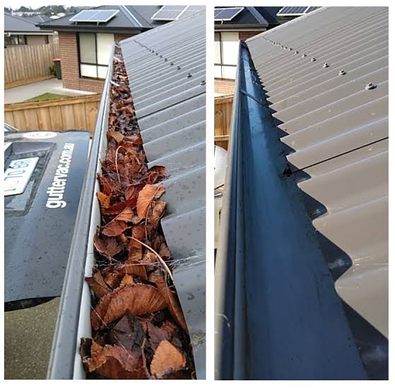 Gutter Cleaning and Roof Leak Repair in Kingsgrove: Protect Your Roof From Water Damage